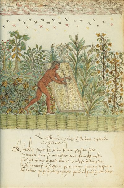 Natural History of the Indies by Unbekannt Unbekannt
